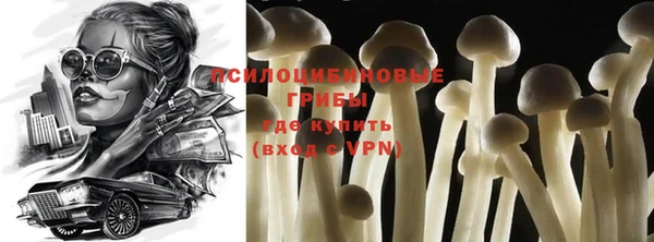 прущая мука Нягань