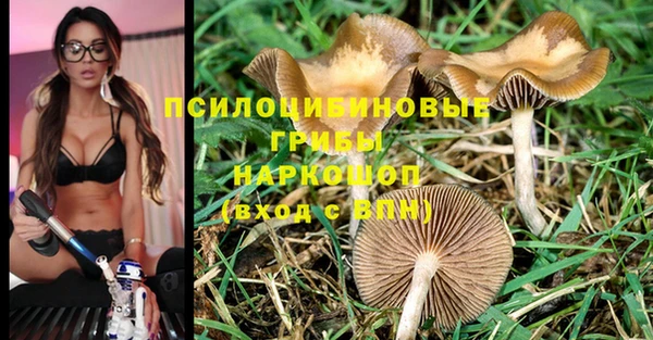 дмт Остров